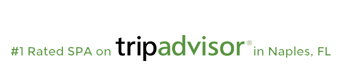 1_Rated_SPA_Banner_2 1_Rated_SPA_Banner_2